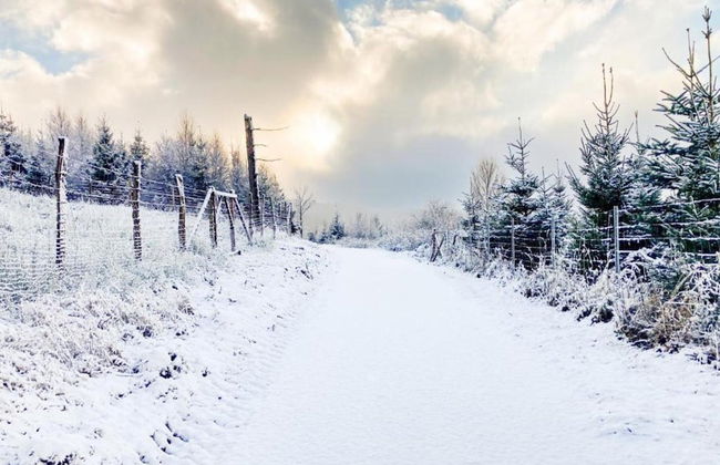 Terrace Retreat in Winterberg - Foto 28