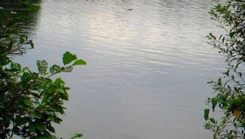 Haus am See - Foto 4