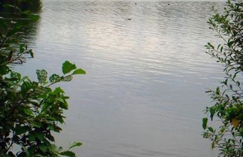 Haus am See - Foto 4