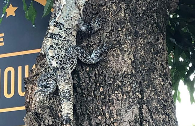 Casa de los Kobiera - Foto 41