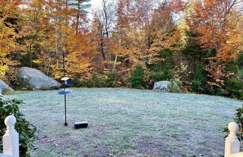 BLUEBERRY MORE LIMIT 17 home - Foto 36