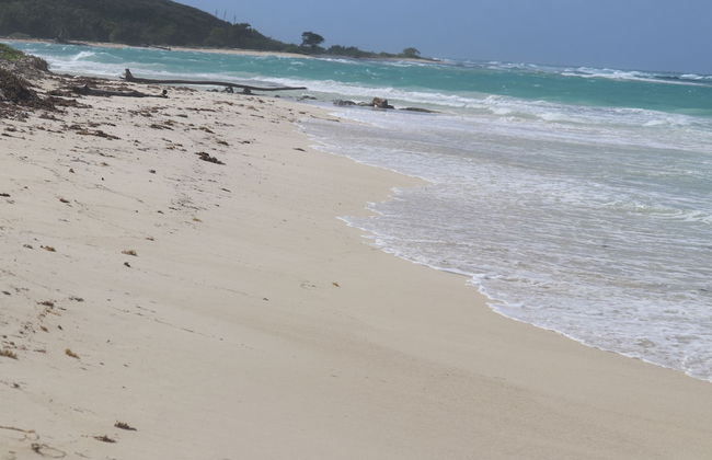 Beach Palm Villa - Photo 51