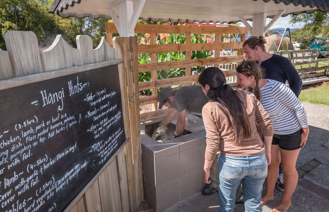 Cosy Cottage Thermal Holiday Park - Foto 58