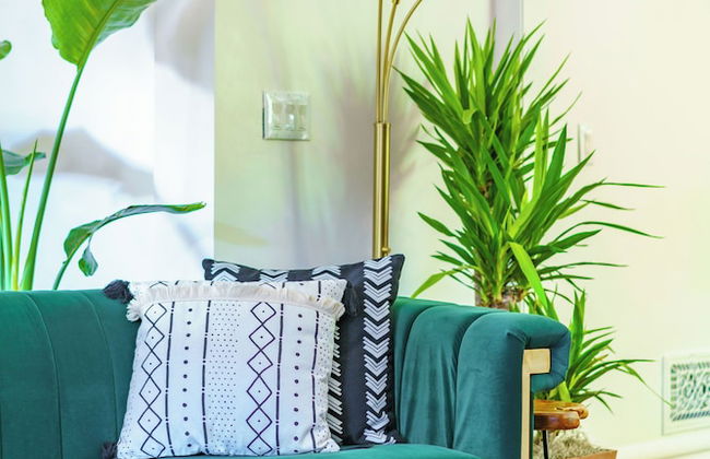 Jungle Casa Lundy - Foto 74