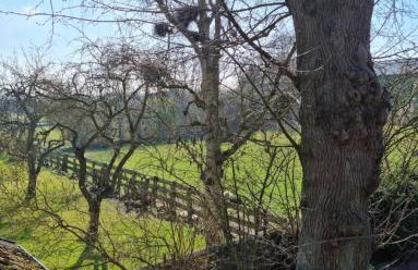 Ferienhof Bisdorf "Steilküste" - Foto 11