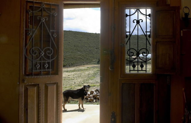 Masia Heredad La Boquilla - Foto 11