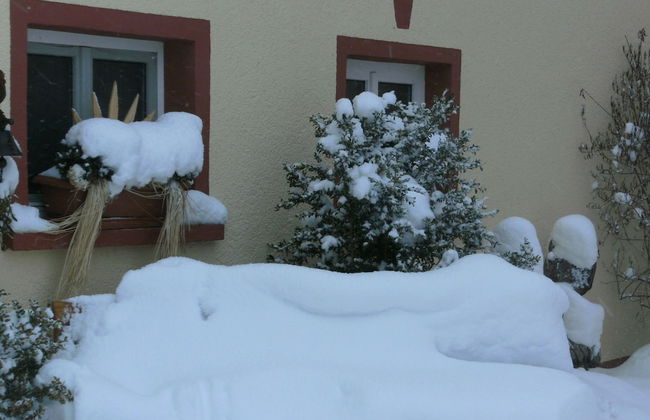 Apartment With Animal zoo and sun Terrace - Foto 30