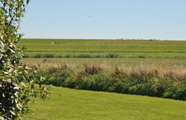 Lovely Holiday Home in Texel near Sea - Photo 8