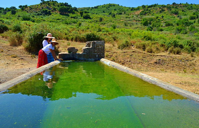 Safari nel Parco naturale delle Madonie - Foto 2