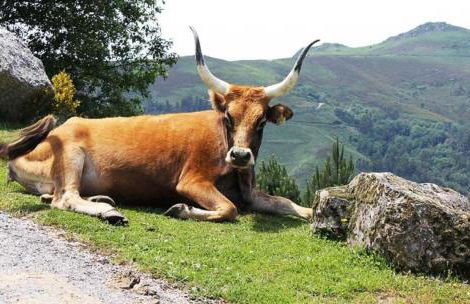 Casa da Eira - Foto 58