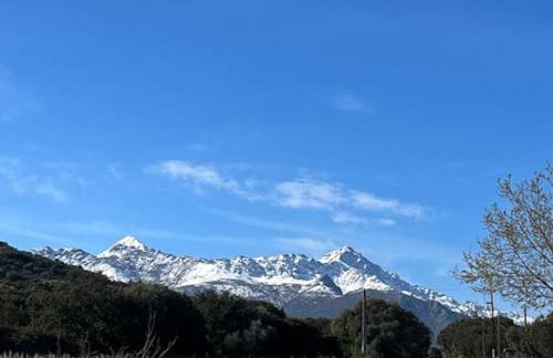 Maison Jardin d'Agrumes - Lozari - Foto 30