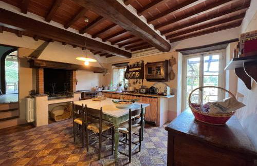 Villa Elena Tuscany - Pool & Garden Arezzo - IHH - Foto 55