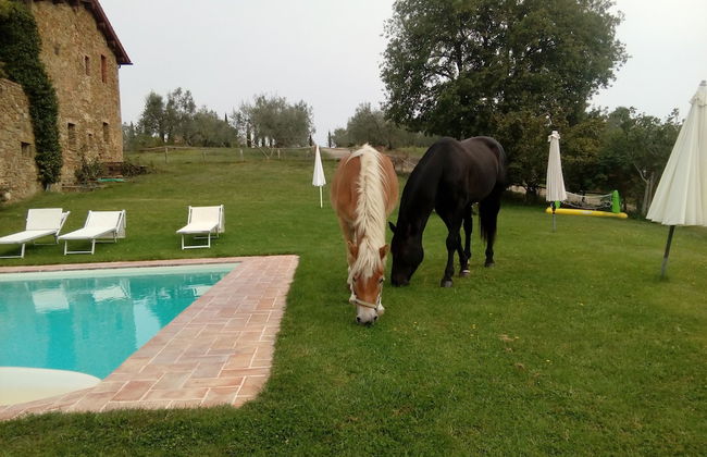 Podere Campovecchio - Foto 20