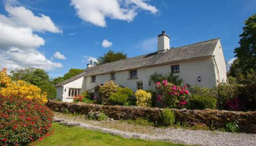 Old Droomer - Photo 1