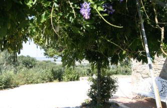 Le Coste Casa Vacanze - Photo 40