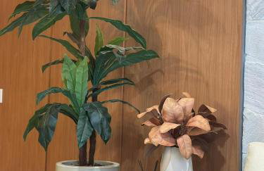 Casa e Canella - Apartamento Aconchegante Pé na Areia - Ilhéus - Foto 14