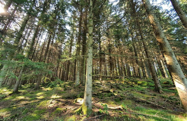 Holiday Home With Swimming Pool - Foto 11