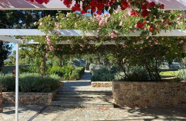 Villa-Agave , by the sea in Porto-Rafti outside Athens - Foto 11