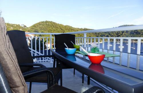 Apartments Pavlić - Photo 54