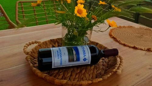 VE Apartment - Foto 3