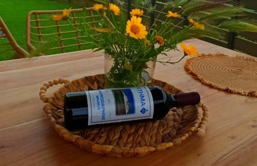 VE Apartment - Photo 3