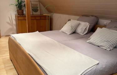 Casita grün - Photo 13