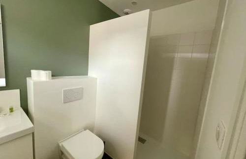 Séjour Art Nouveau au coeur de Wazemmes - Foto 4