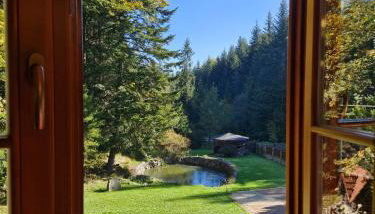 Rodzinny Dom Wypoczynkowy - Foto 3, Garden, Garden view