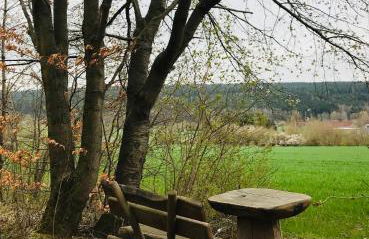 Ferienwohnung Auszeit am Kurpark Bad Berka - auch im Frühling toll! # Balkon # ruhige Lage # gratis Parkplatz & WLAN # Nähe Weimar # Weimarer Land - Photo 24