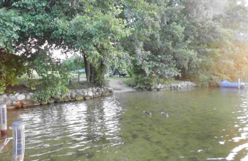 Wald&Wiesengeflüster Zechlinerhütte - Foto 34