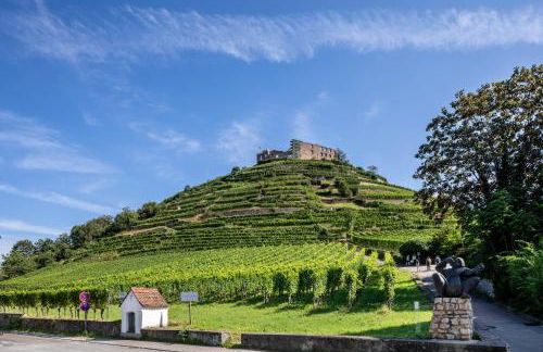 Ferienwohnung am Neumagen - Foto 29