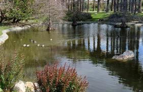 SUEÑOS DEL MAR - Foto 28