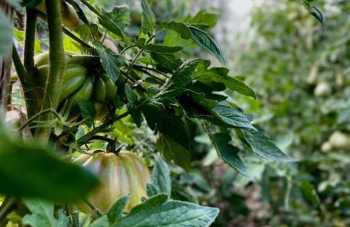 CasaVacanze NiGiNo - Foto 62