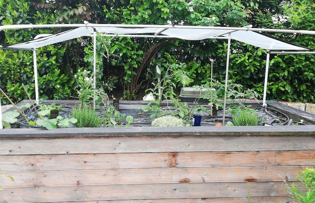 Kaiserhaus Harald Astner Ebbs Studio 2 - Foto 31