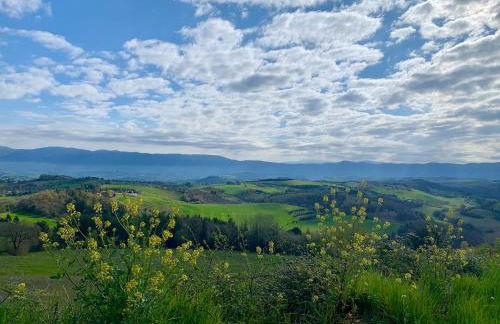 La casa del timo - The house of thyme - Foto 46