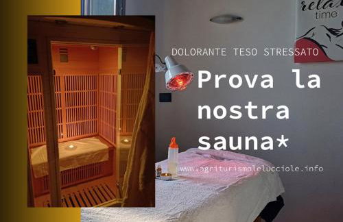 Azienda agricola biologica Le Lucciole - Foto 50