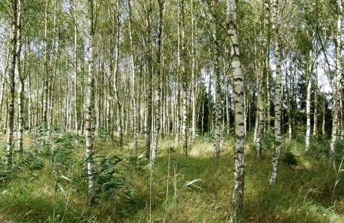 Agroturystyka "Bociek" - Foto 23