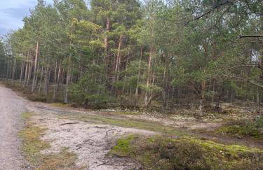 Domki nad morzem " Przy Lesie" - Foto 15