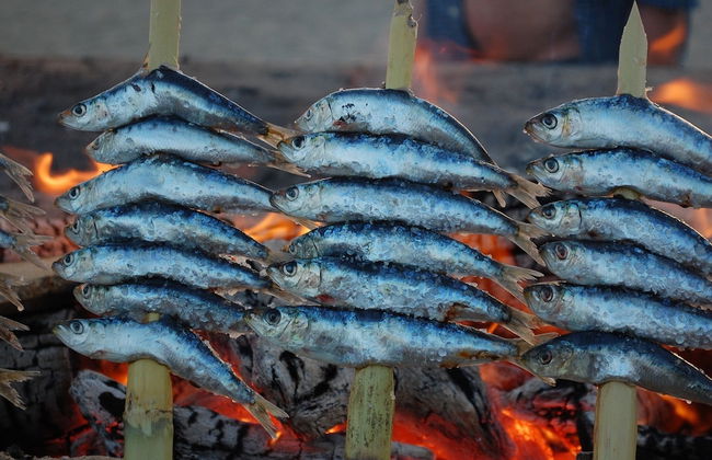 Del Parque Flats Central - Photo 60