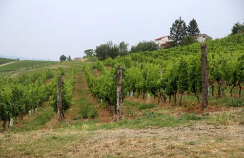 CA' DIJ SARACH - Foto 6