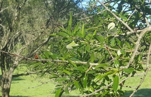 Charmant Appartement Neuf Le Taoume - Foto 33