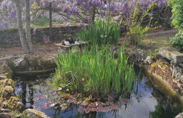 Calme et reposant - Foto 7