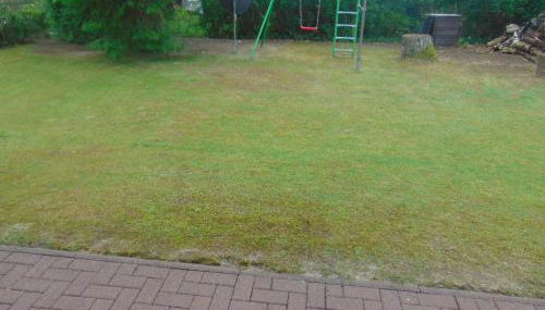 Ferienhaus Emmelie - Foto 3, Garden