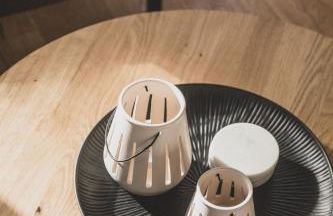 Hof Van Senden 9 Rieke - Foto 6