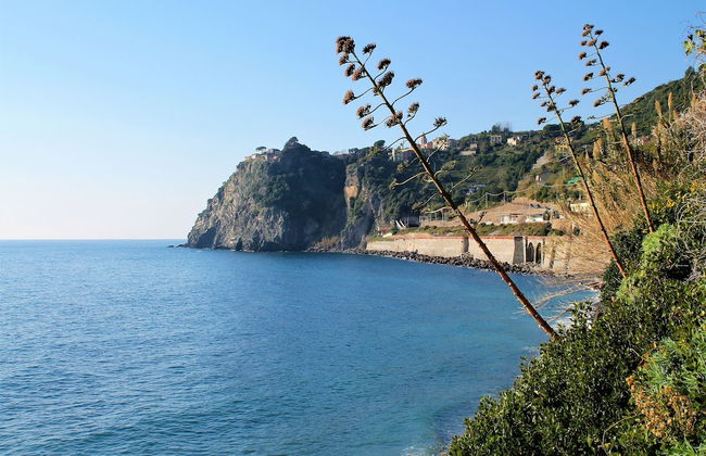 Golfo Della Luna - Foto 46