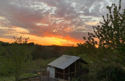 Gite Mimosa - Photo 16