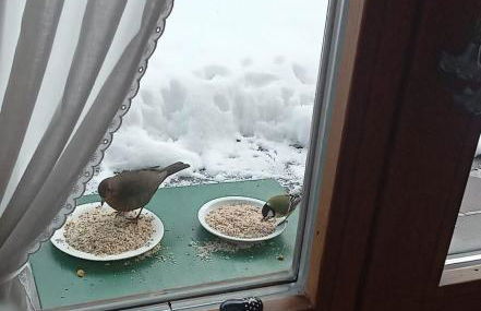 Ferienwohnung Moosegger - Foto 8