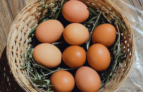 Les jardins du Canal - Foto 16