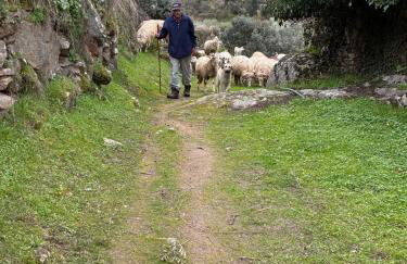 Casa Dr Ramiro Salgado - Douro Superior, Torre de Moncorvo - Foto 58