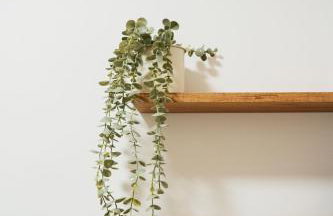 Apartament ACTIV jezioro góry - Foto 33